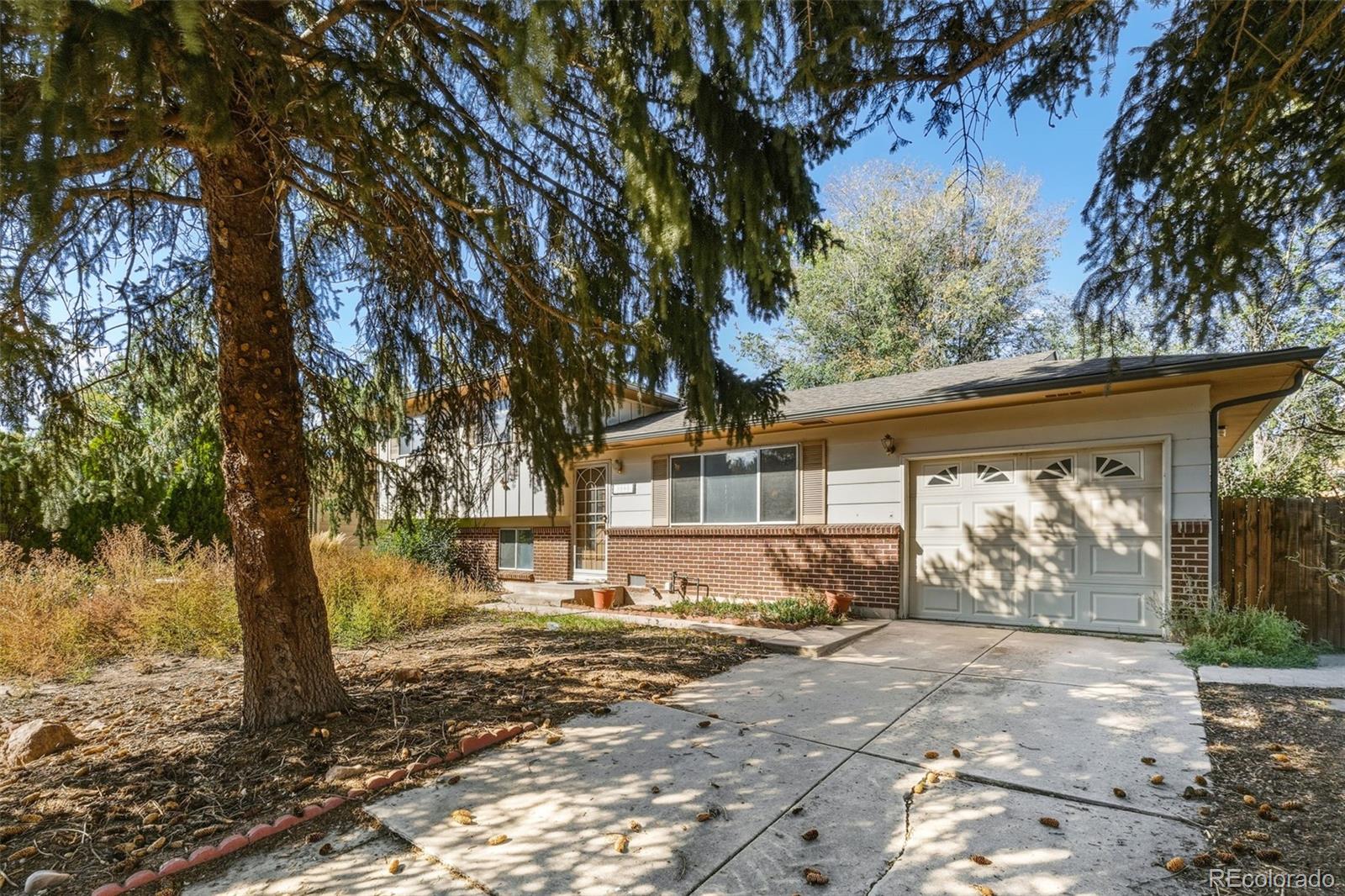 MLS Image #3 for 3702  pearl drive,colorado springs, Colorado