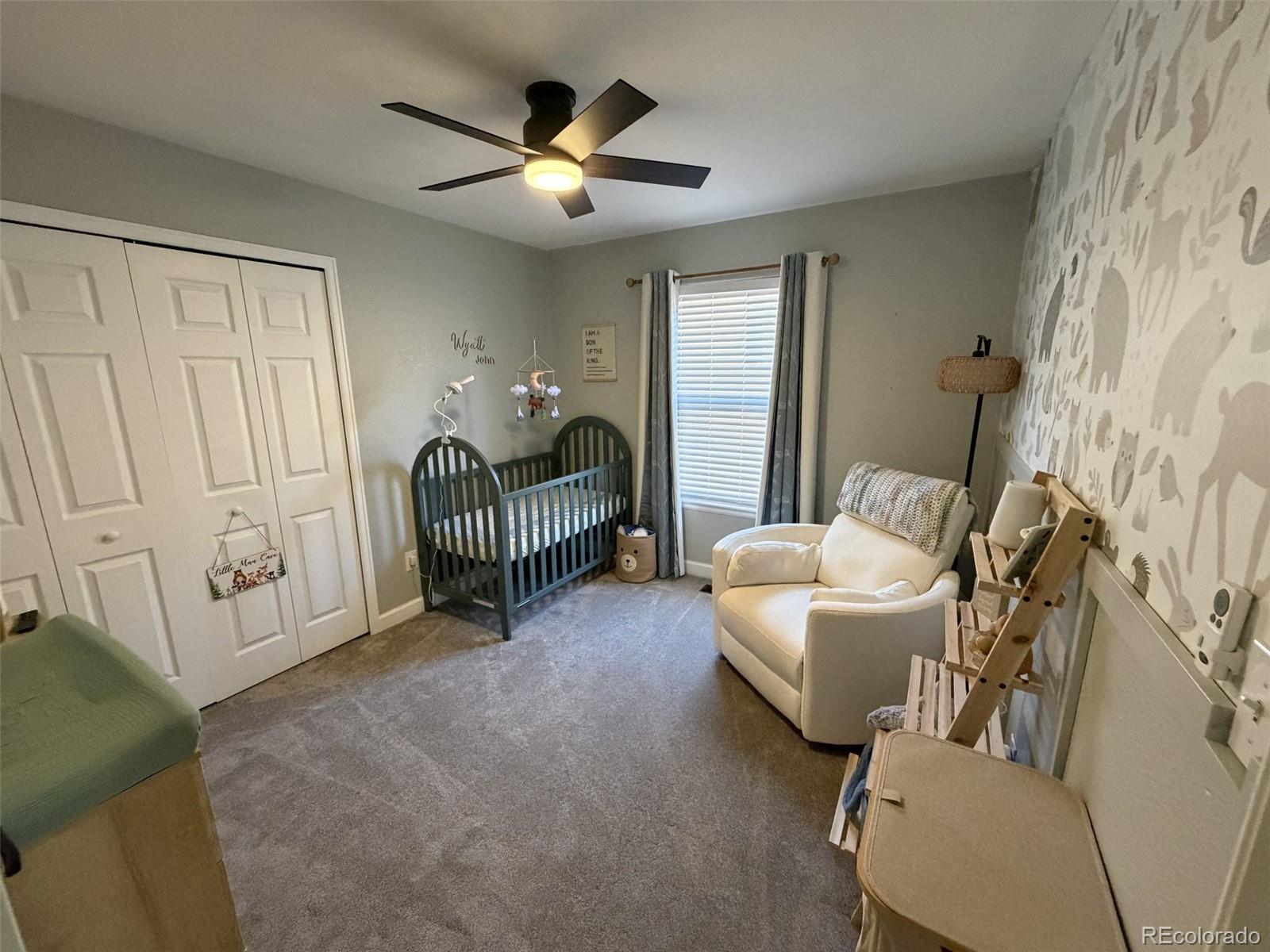 MLS Image #12 for 3215  borrossa street,evans, Colorado