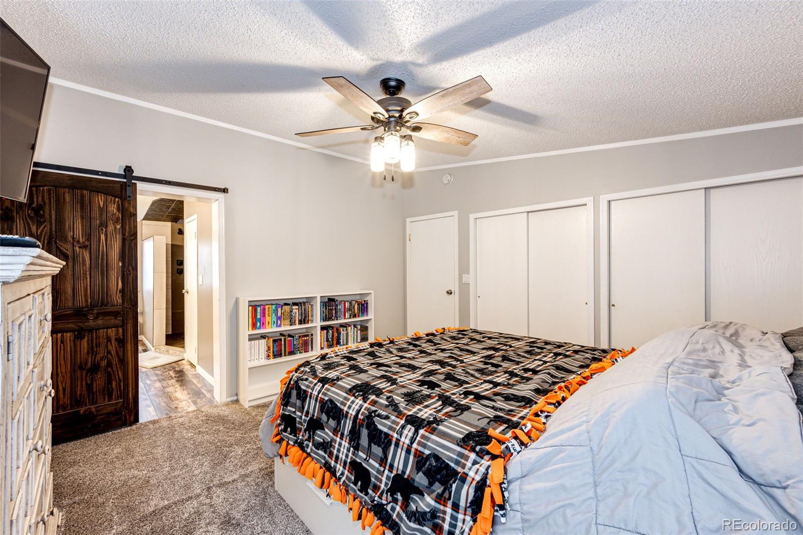 MLS Image #15 for 394 s owens street,byers, Colorado