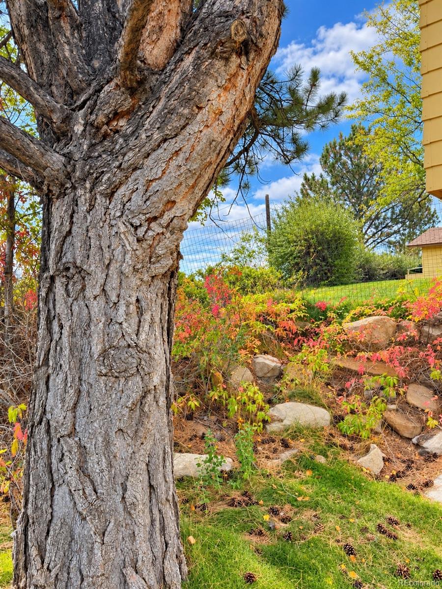 MLS Image #39 for 402 s stanolind avenue,rangely, Colorado