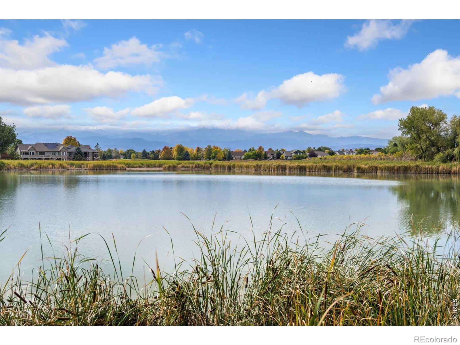 MLS Image #41 for 1257  whitehall drive,longmont, Colorado
