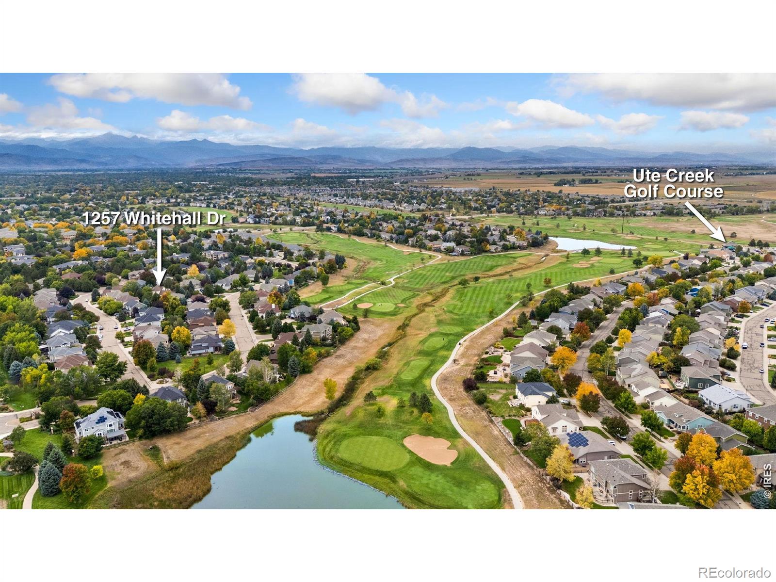 MLS Image #42 for 1257  whitehall drive,longmont, Colorado