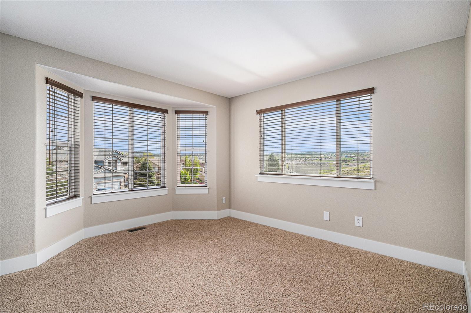 MLS Image #17 for 1076  switch grass drive,castle rock, Colorado