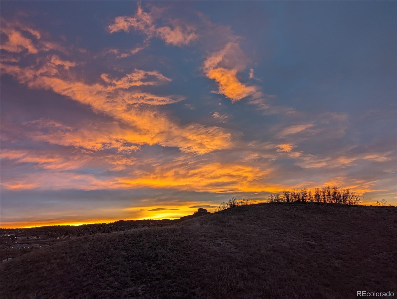 MLS Image #38 for 1076  switch grass drive,castle rock, Colorado