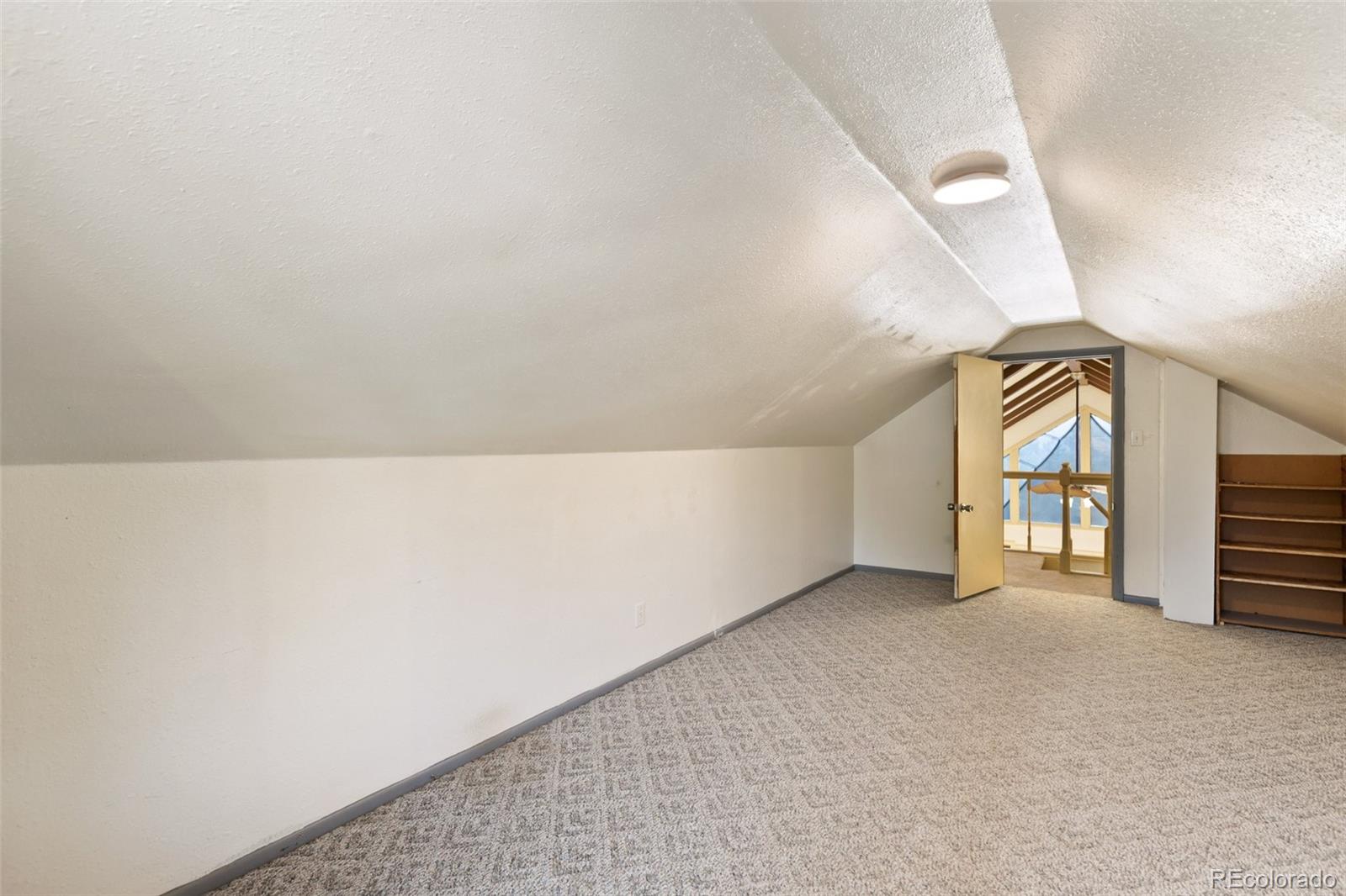 MLS Image #16 for 192  columbine road,florissant, Colorado