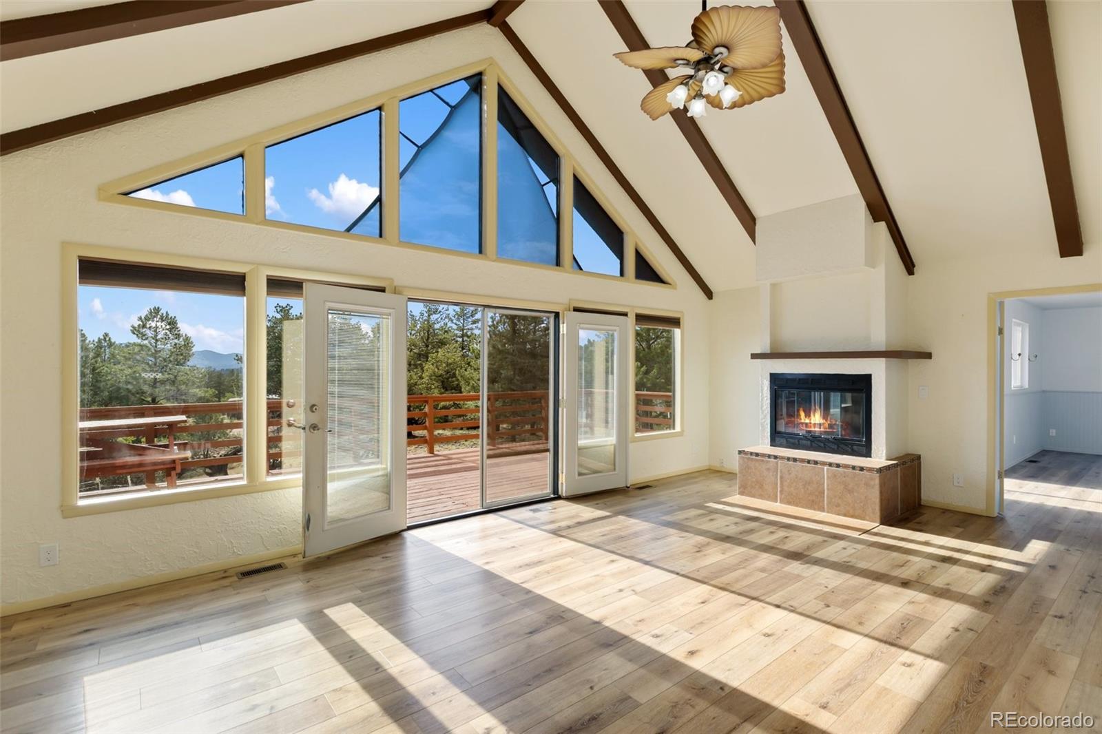 MLS Image #4 for 192  columbine road,florissant, Colorado