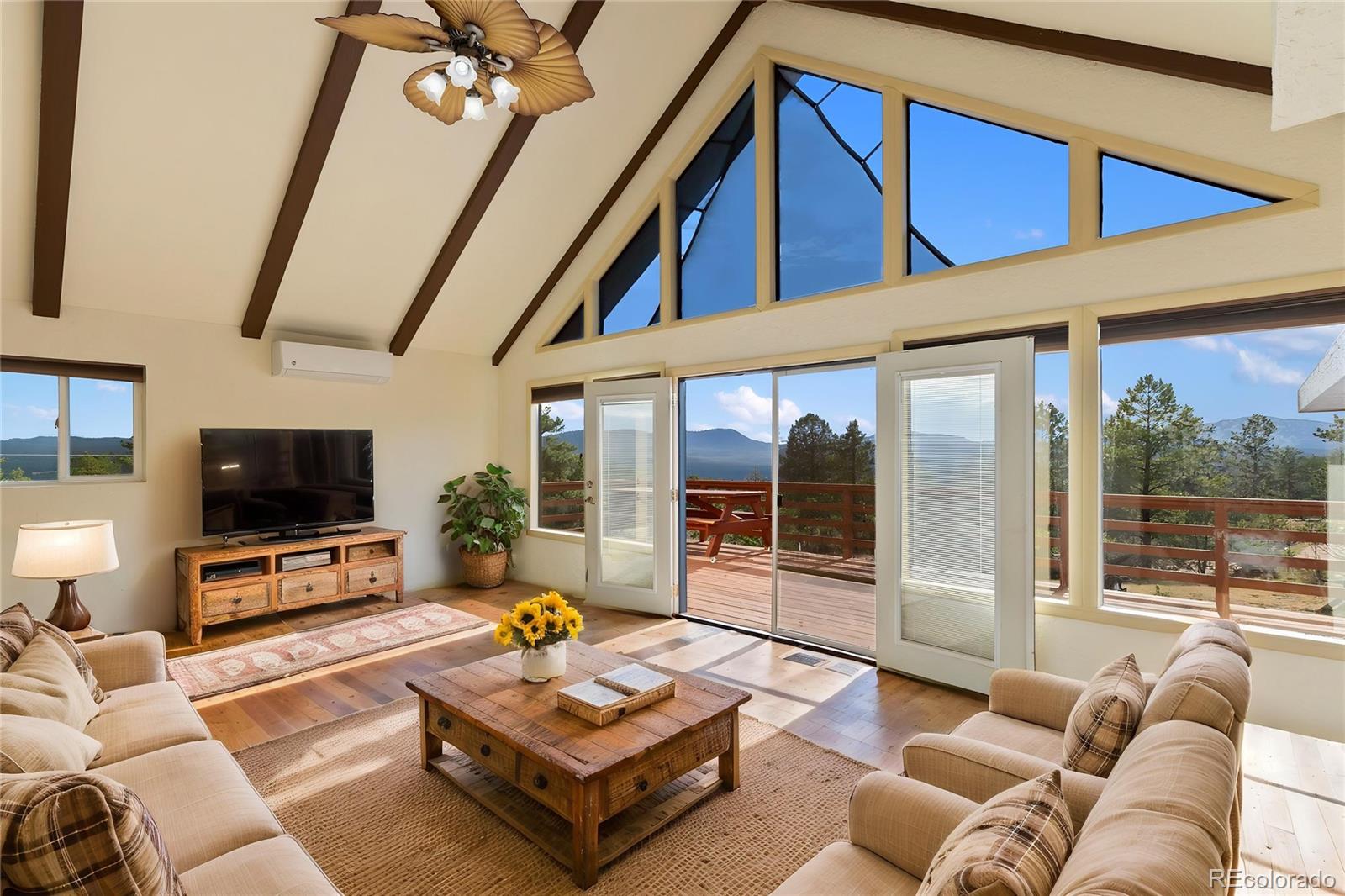 MLS Image #6 for 192  columbine road,florissant, Colorado