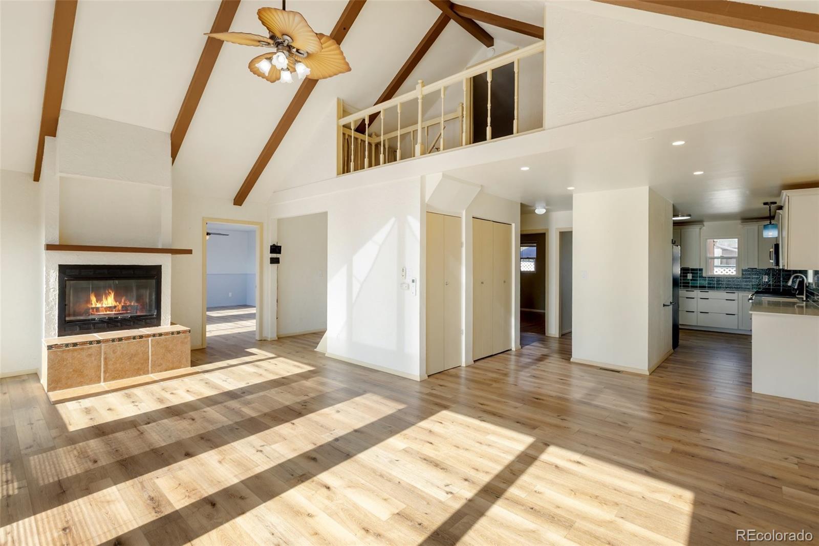 MLS Image #8 for 192  columbine road,florissant, Colorado