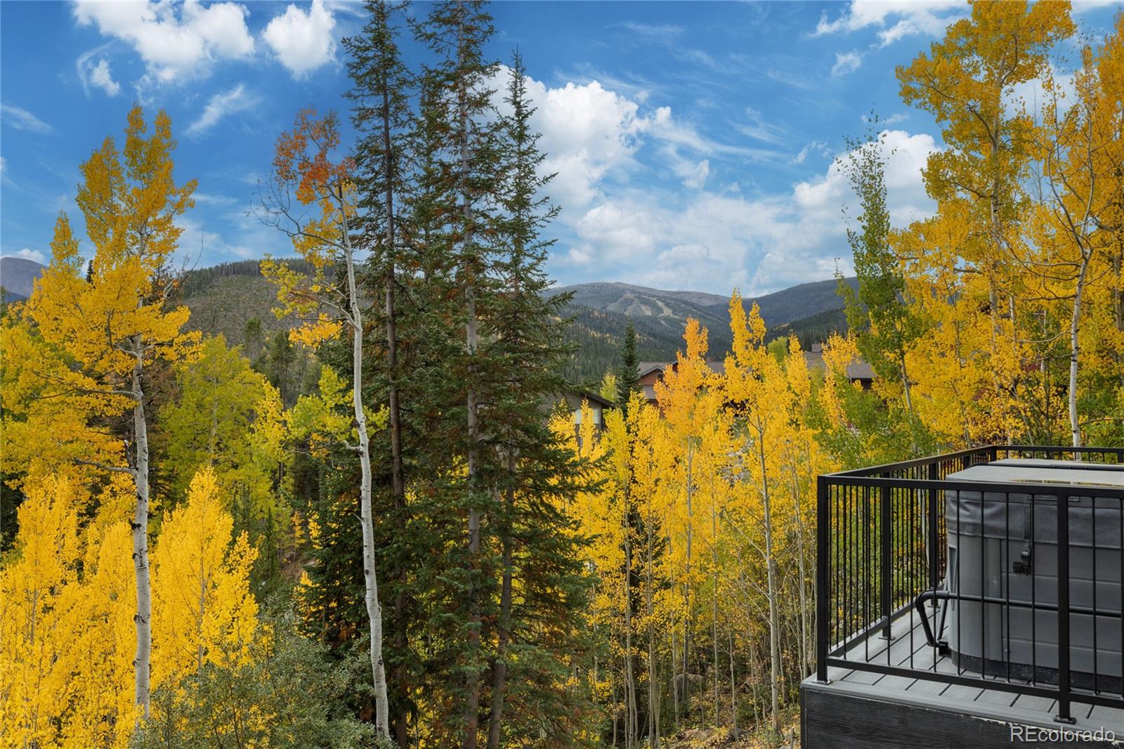 MLS Image #26 for 417  bear trail,winter park, Colorado