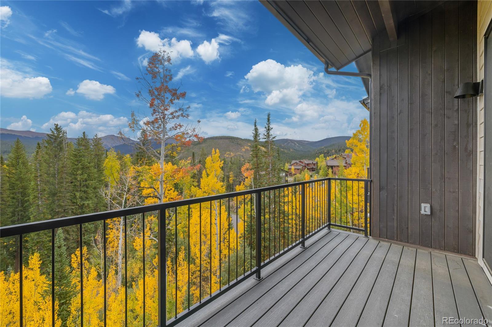MLS Image #42 for 417  bear trail,winter park, Colorado