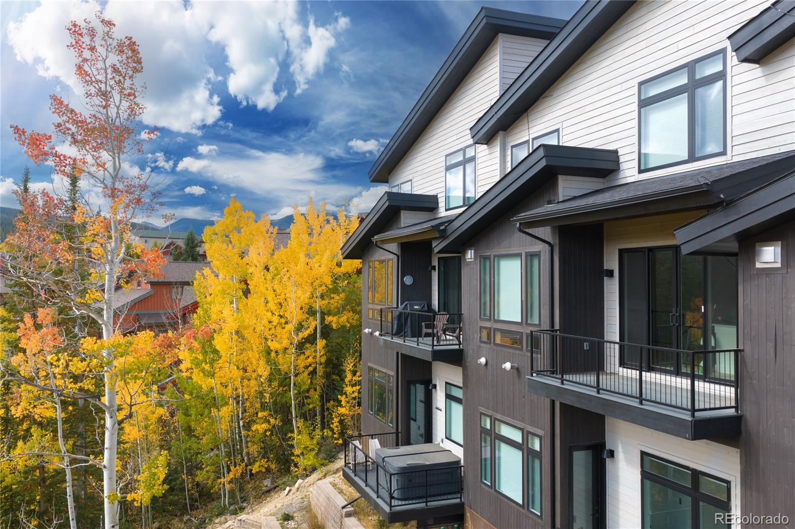 MLS Image #43 for 417  bear trail,winter park, Colorado