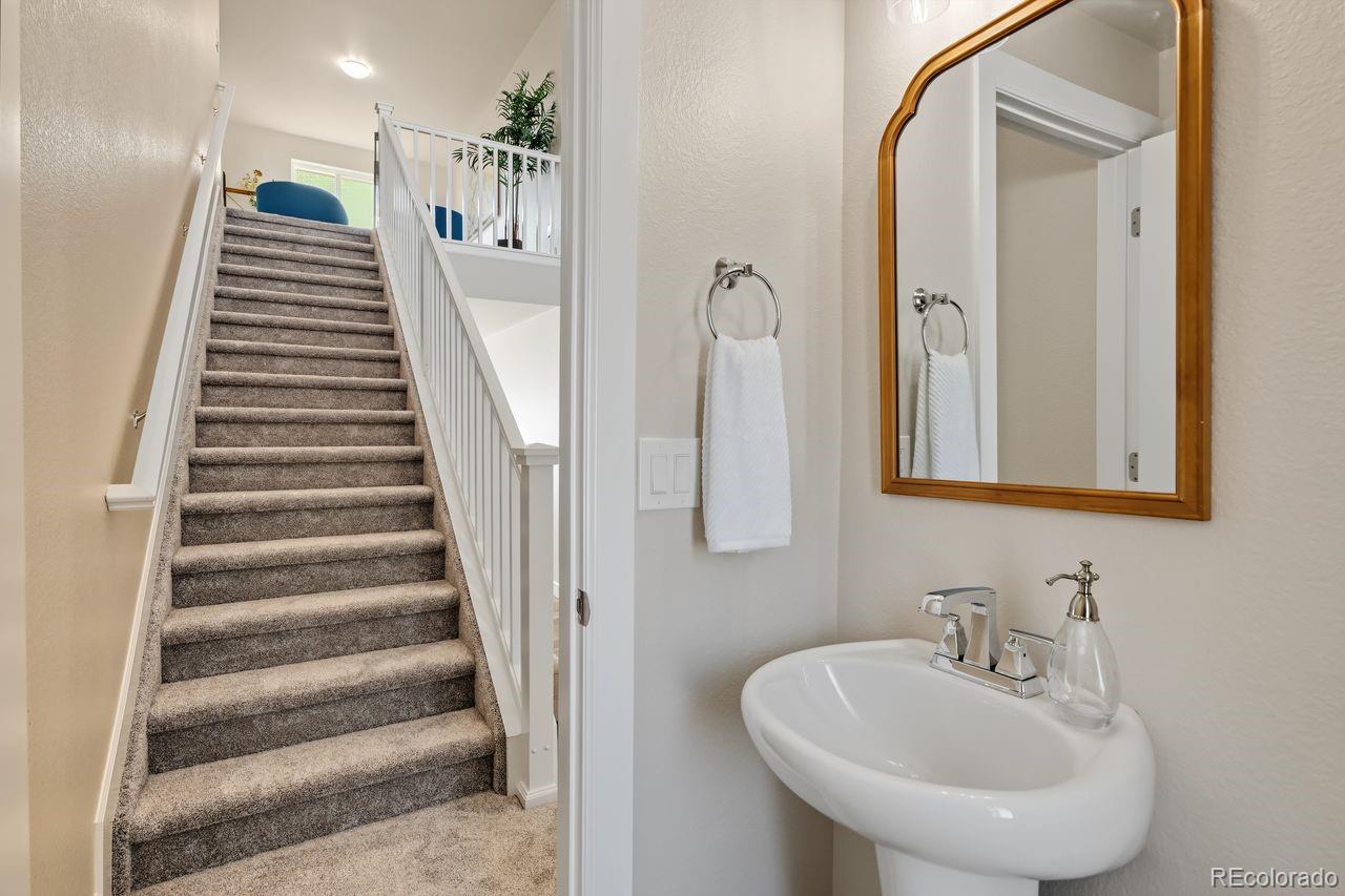 MLS Image #23 for 6409  alyssum heights,colorado springs, Colorado