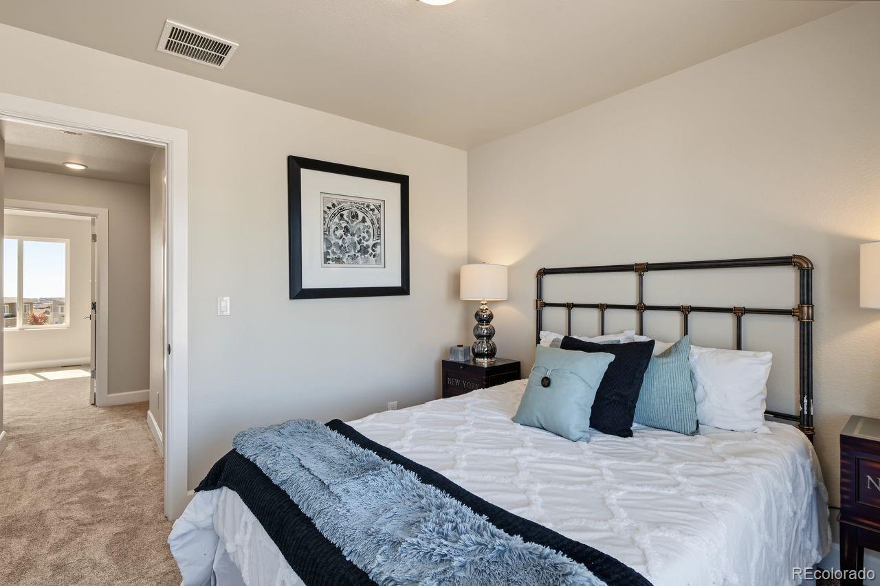 MLS Image #5 for 6409  alyssum heights,colorado springs, Colorado