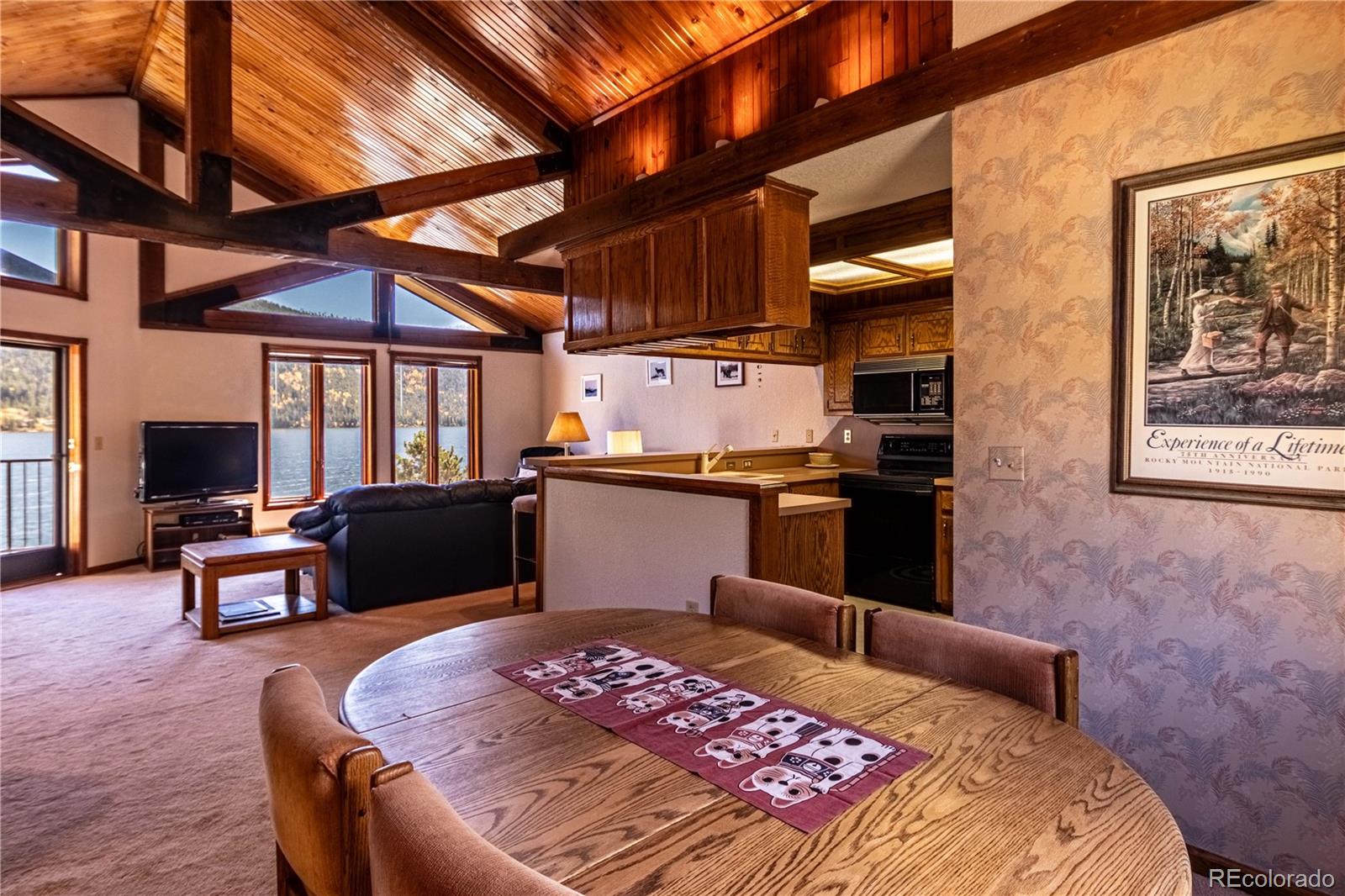 MLS Image #17 for 417  lake kove drive,grand lake, Colorado