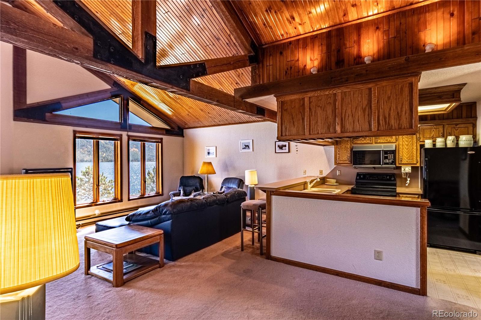 MLS Image #7 for 417  lake kove drive,grand lake, Colorado