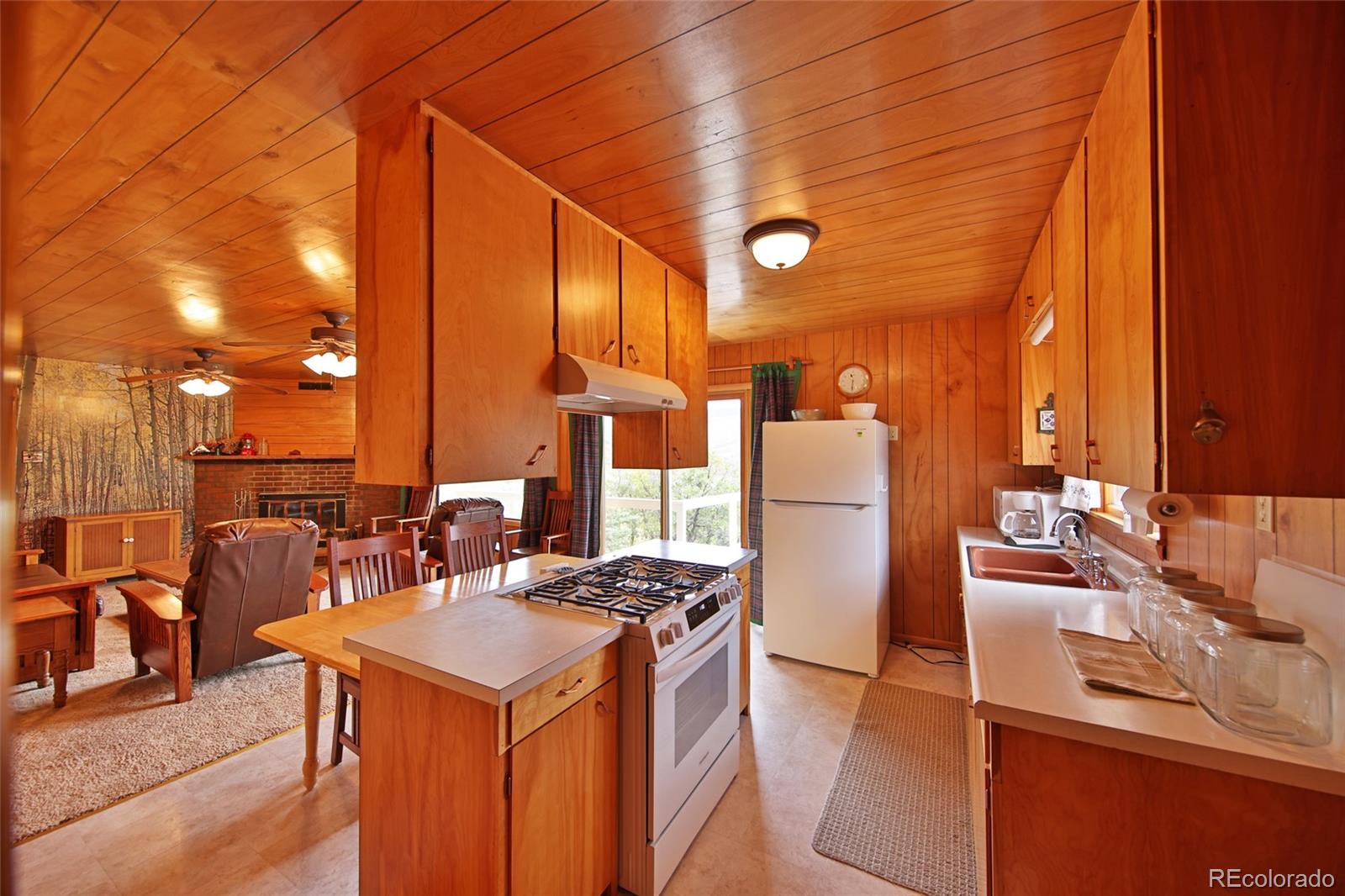 MLS Image #12 for 67649  vega vista drive,collbran, Colorado