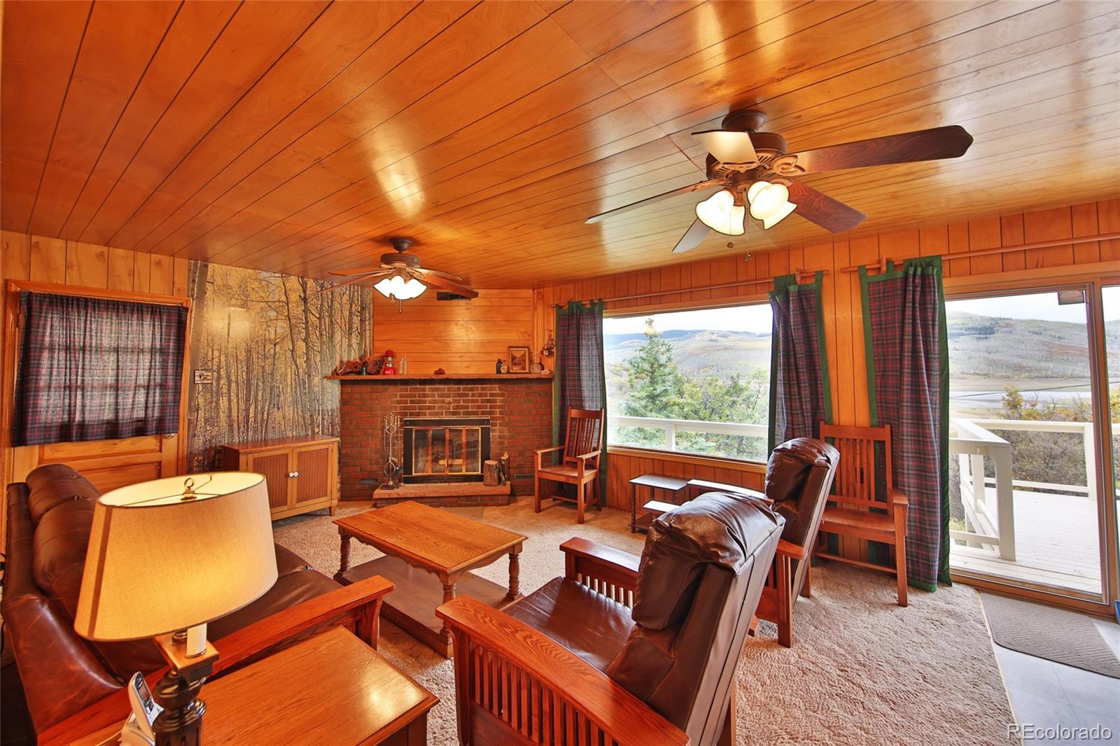 MLS Image #7 for 67649  vega vista drive,collbran, Colorado