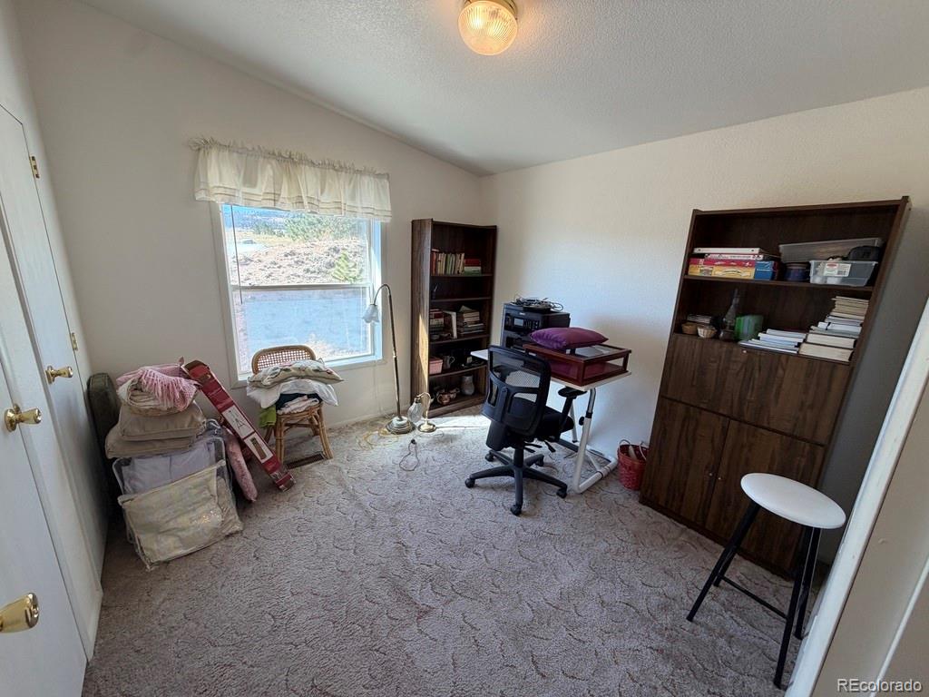 MLS Image #14 for 386  angus circle,hartsel, Colorado