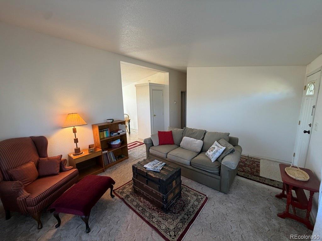 MLS Image #6 for 386  angus circle,hartsel, Colorado