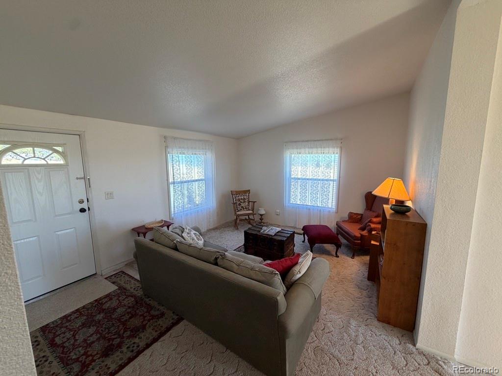MLS Image #7 for 386  angus circle,hartsel, Colorado
