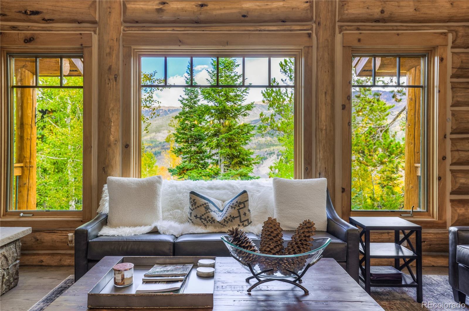 MLS Image #15 for 185  easy bend trail,silverthorne, Colorado