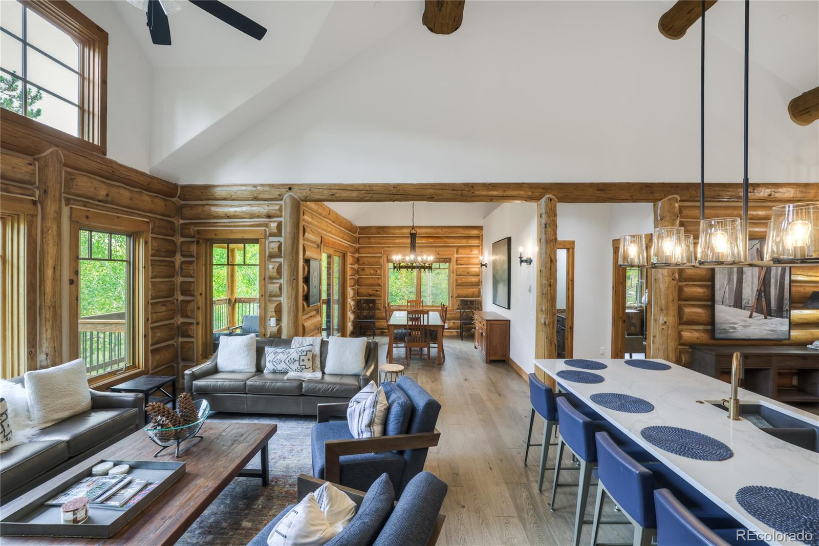 MLS Image #21 for 185  easy bend trail,silverthorne, Colorado