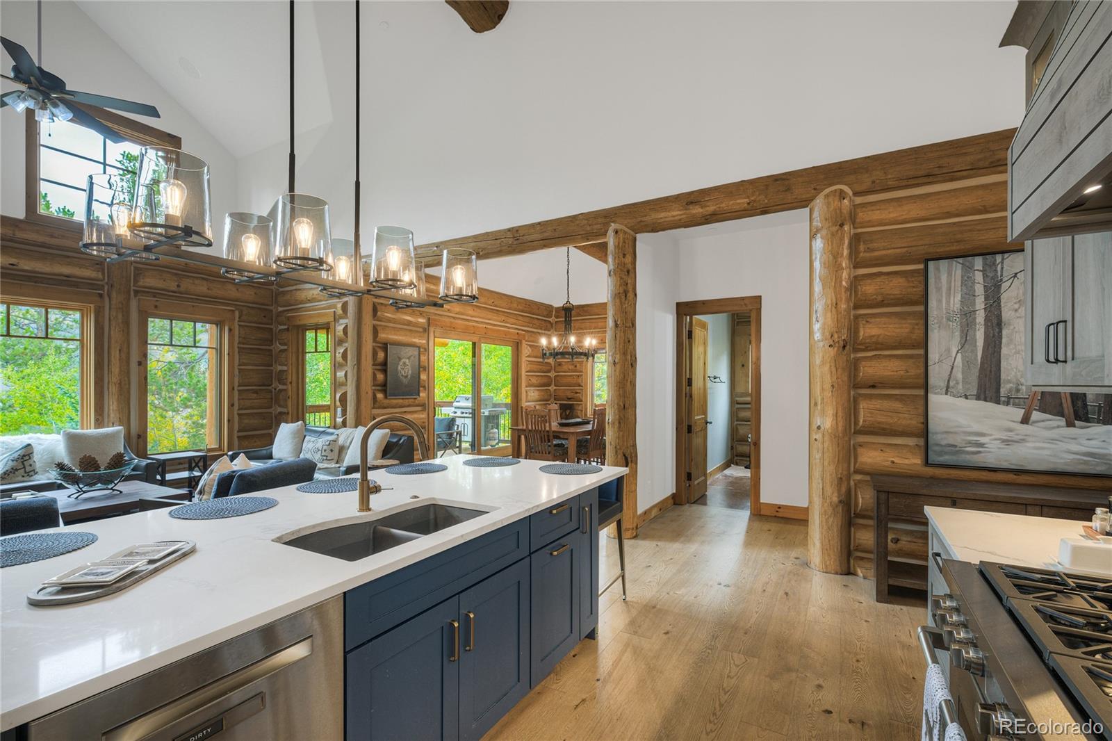 MLS Image #22 for 185  easy bend trail,silverthorne, Colorado