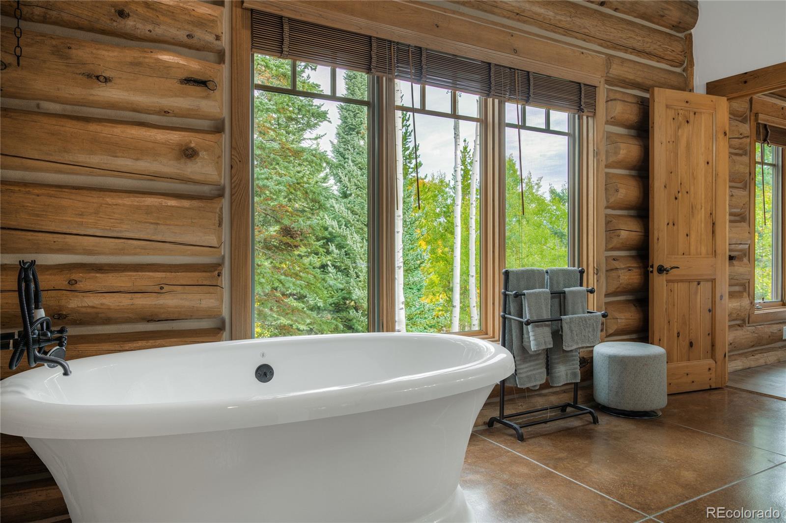 MLS Image #29 for 185  easy bend trail,silverthorne, Colorado