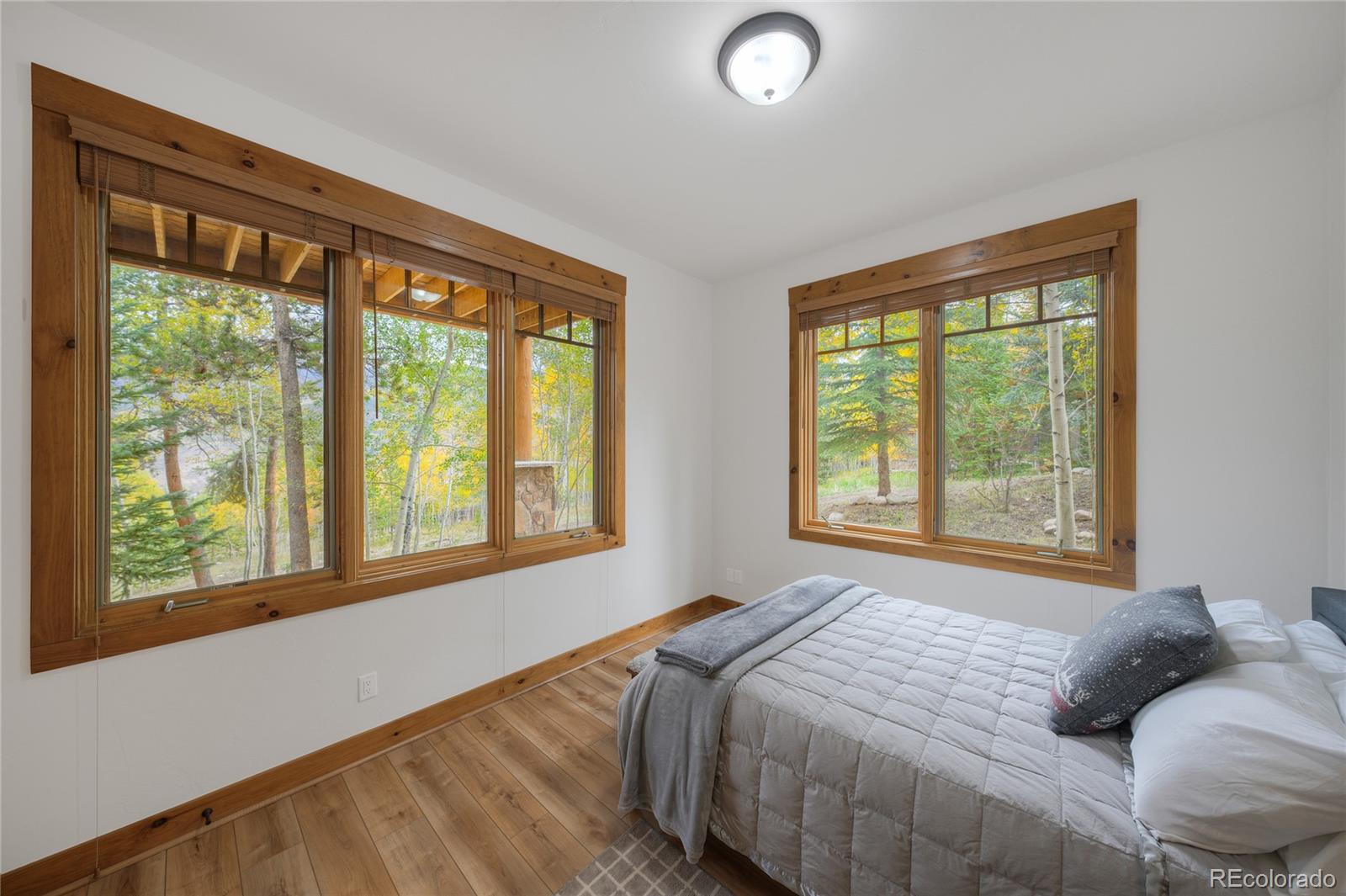 MLS Image #38 for 185  easy bend trail,silverthorne, Colorado