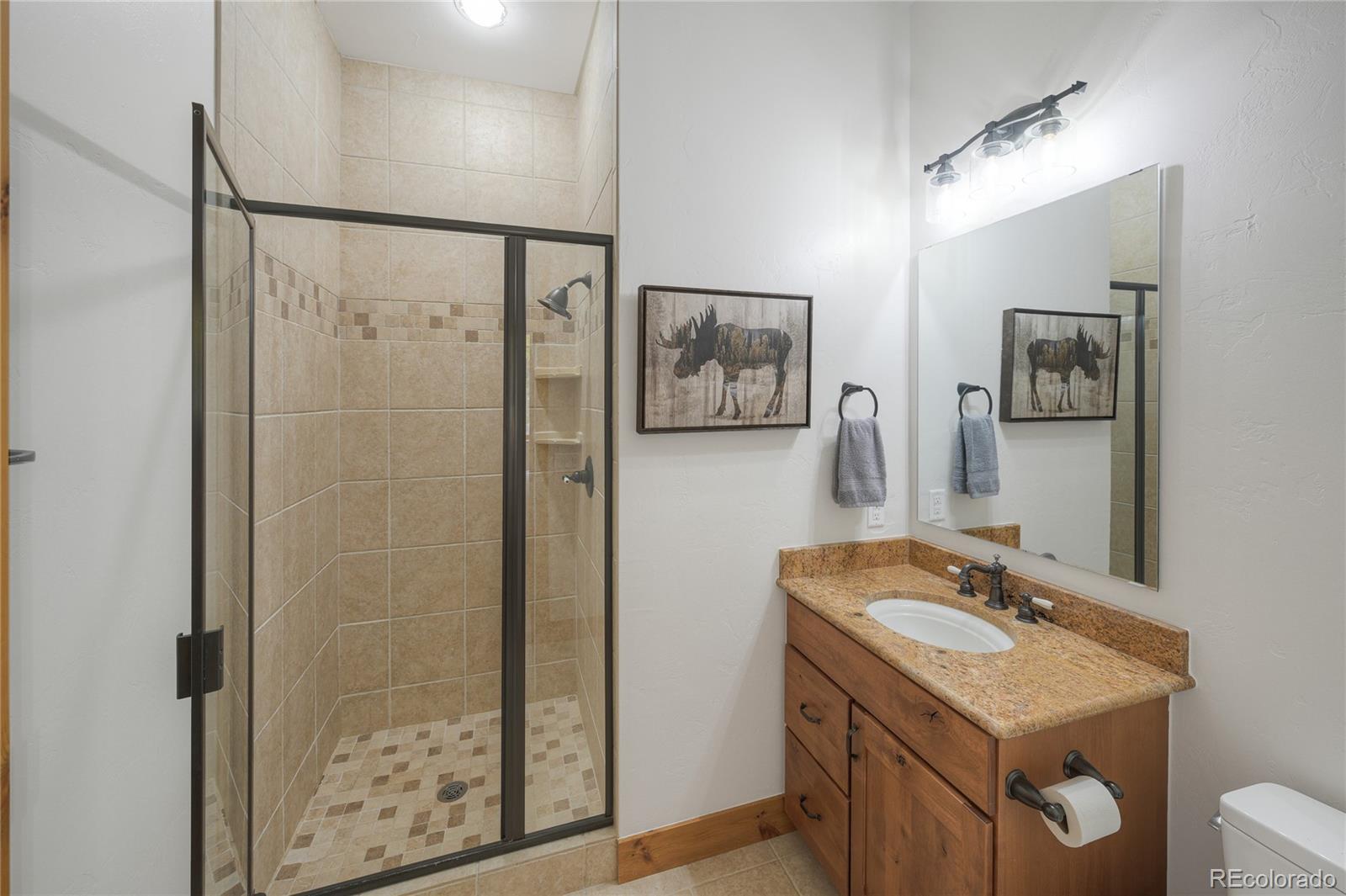 MLS Image #41 for 185  easy bend trail,silverthorne, Colorado