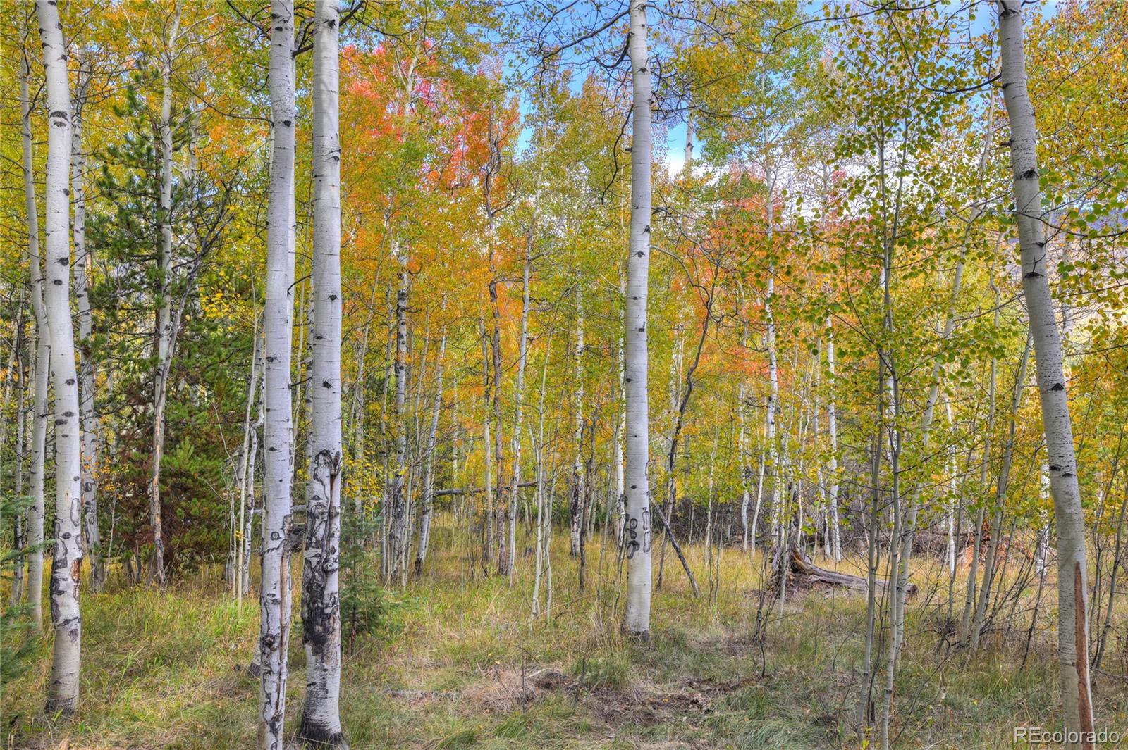 MLS Image #8 for 185  easy bend trail,silverthorne, Colorado