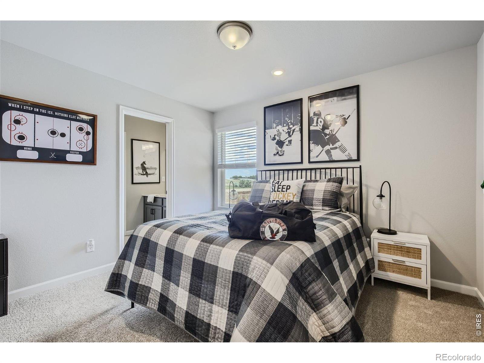 MLS Image #15 for 2846  bear springs circle,longmont, Colorado