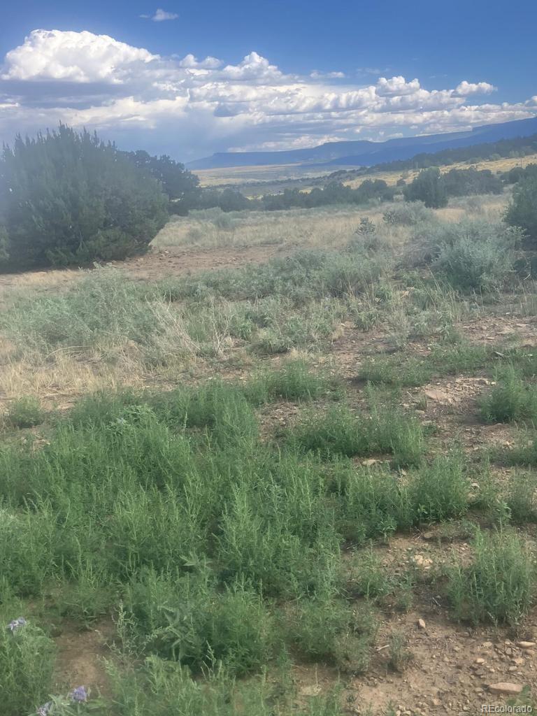 MLS Image #1 for 17161  county road 71.1 ,trinidad, Colorado