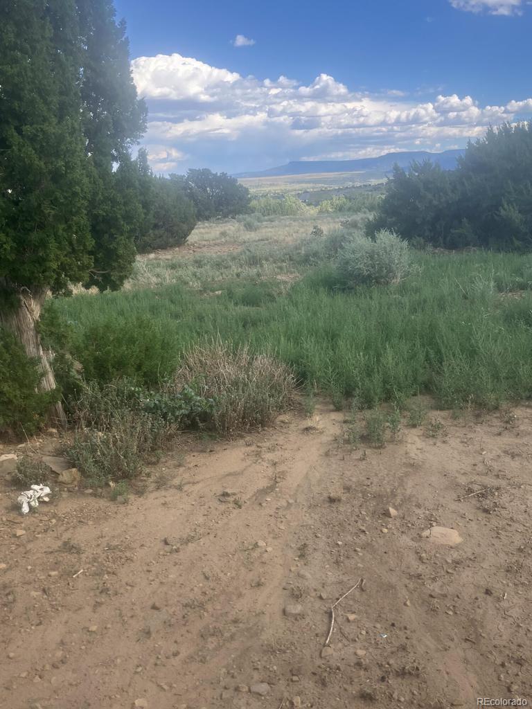 MLS Image #2 for 17161  county road 71.1 ,trinidad, Colorado