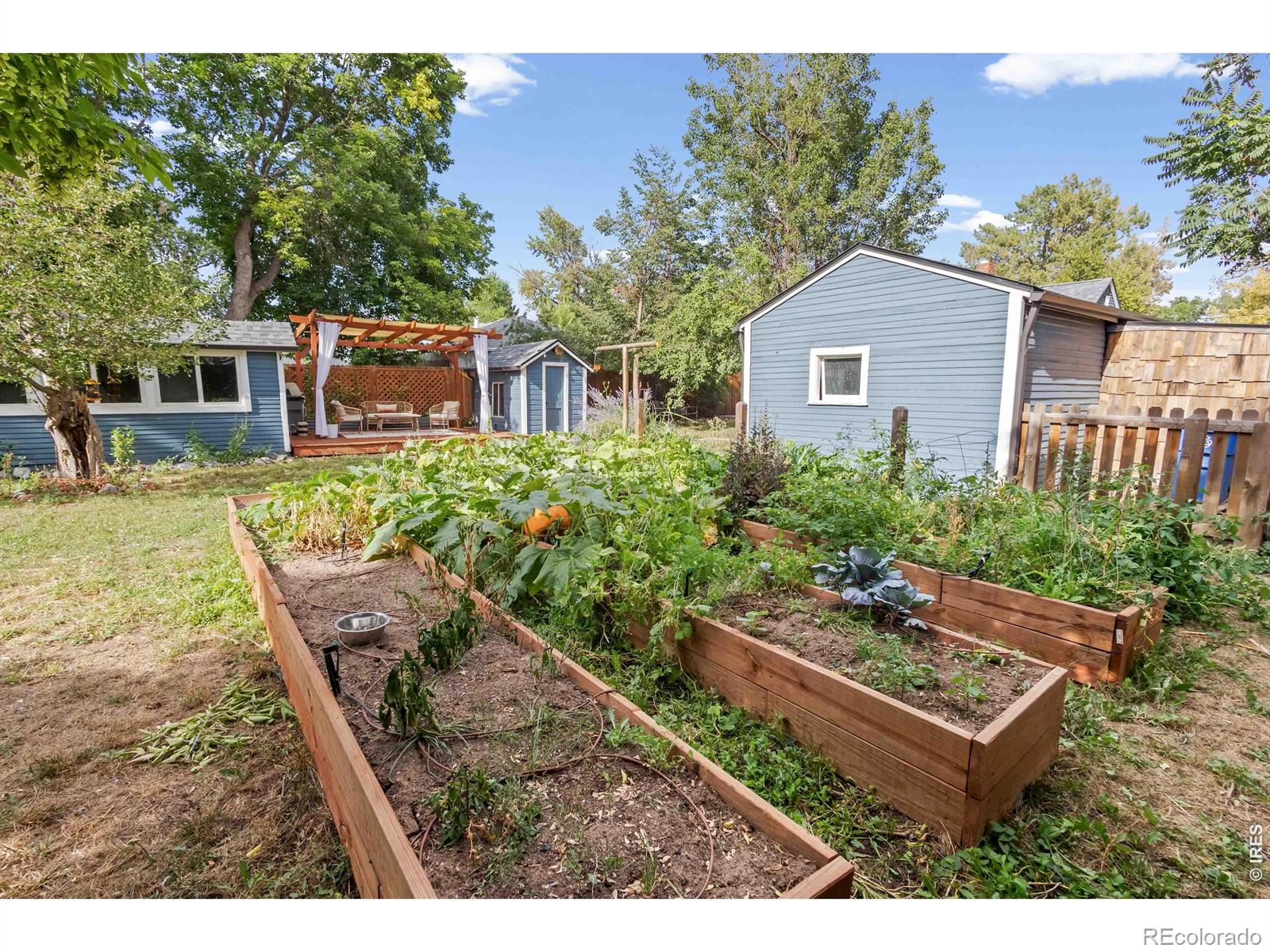 MLS Image #35 for 3875  harlan street,wheat ridge, Colorado