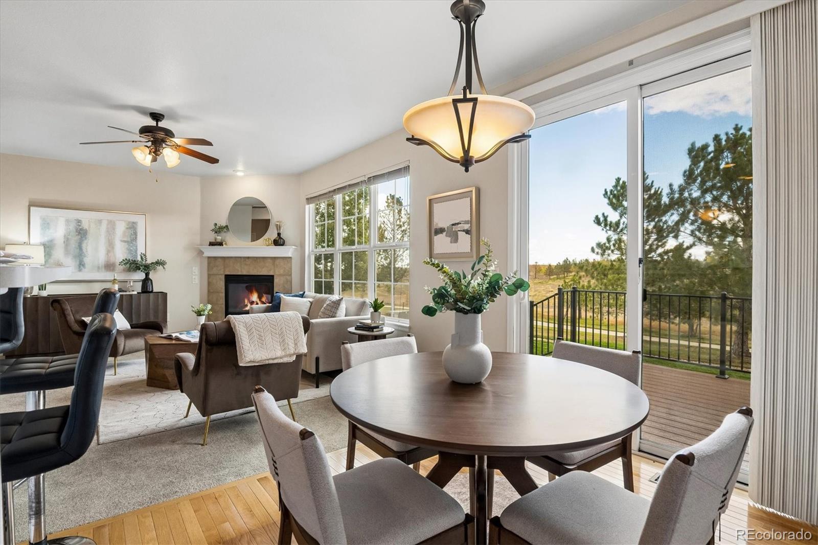MLS Image #15 for 16678  antero street,broomfield, Colorado
