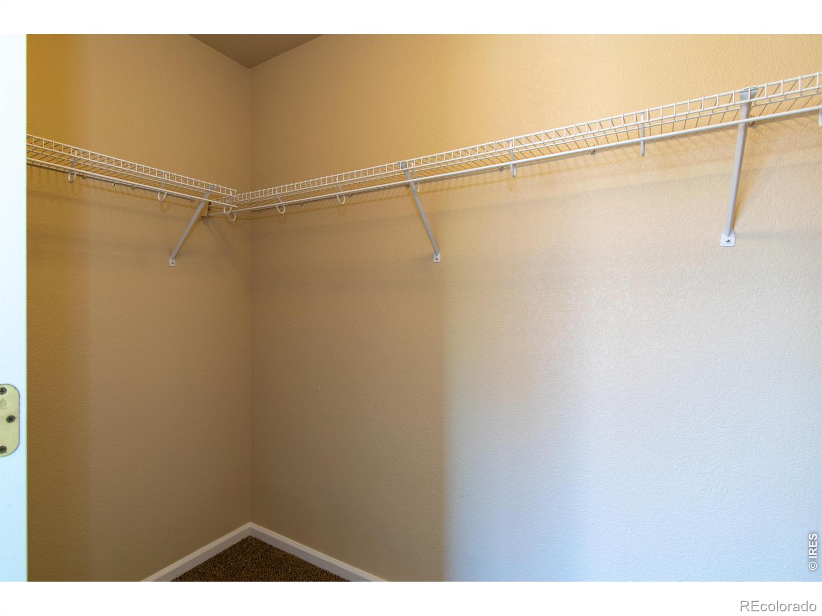 MLS Image #17 for 6714  autumn ridge drive,fort collins, Colorado