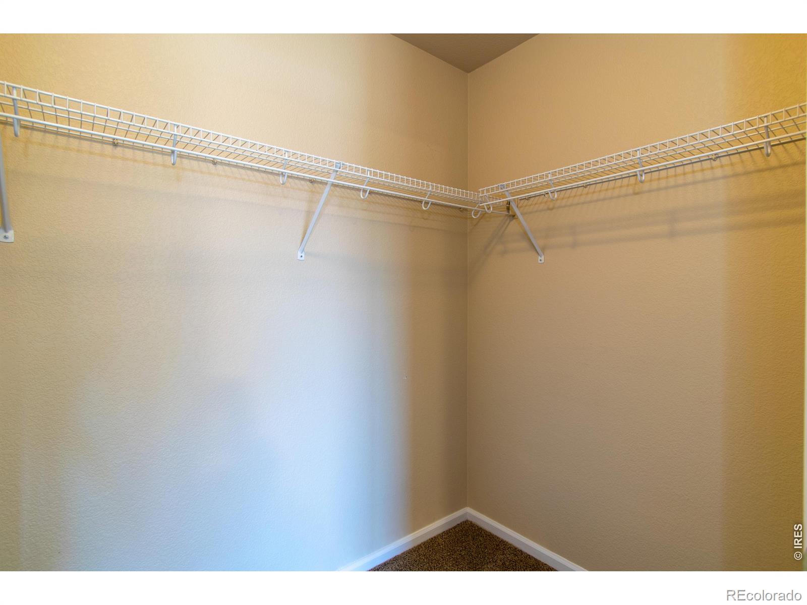 MLS Image #18 for 6714  autumn ridge drive,fort collins, Colorado