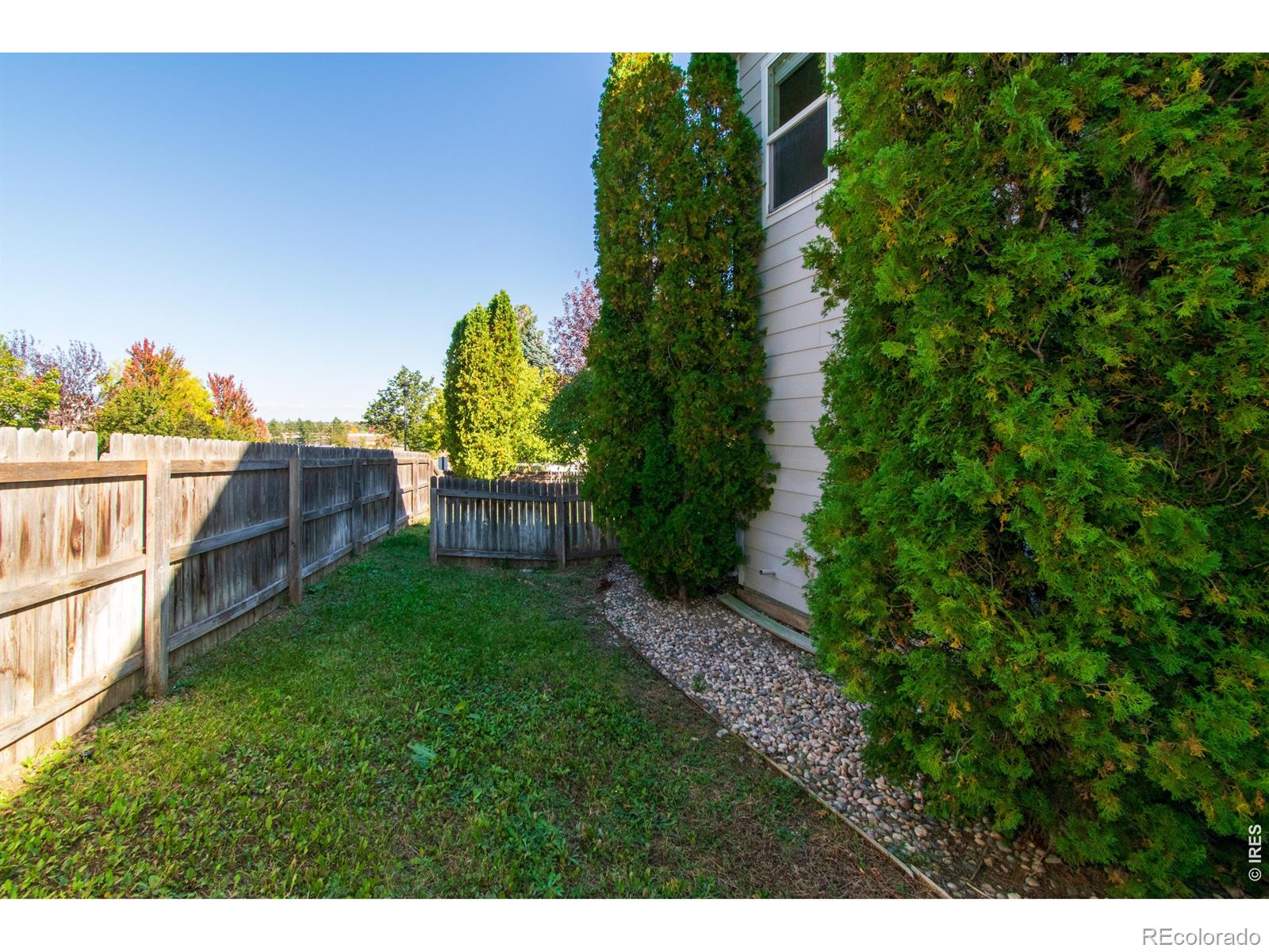MLS Image #28 for 6714  autumn ridge drive,fort collins, Colorado