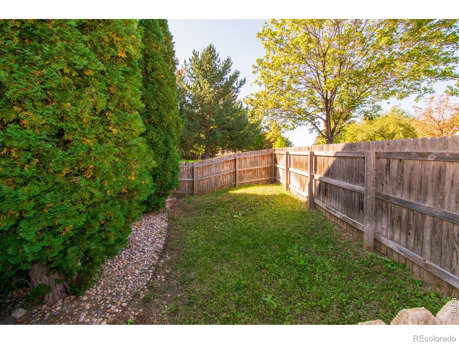 MLS Image #29 for 6714  autumn ridge drive,fort collins, Colorado