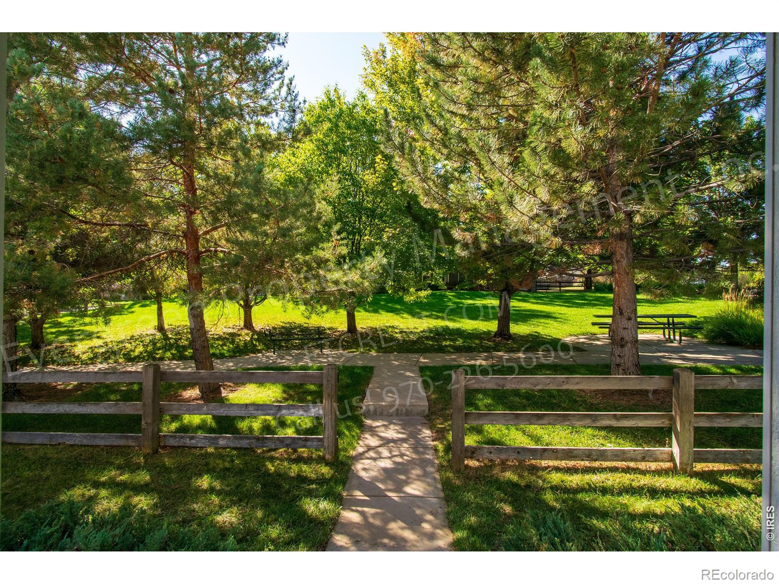 MLS Image #36 for 6714  autumn ridge drive,fort collins, Colorado