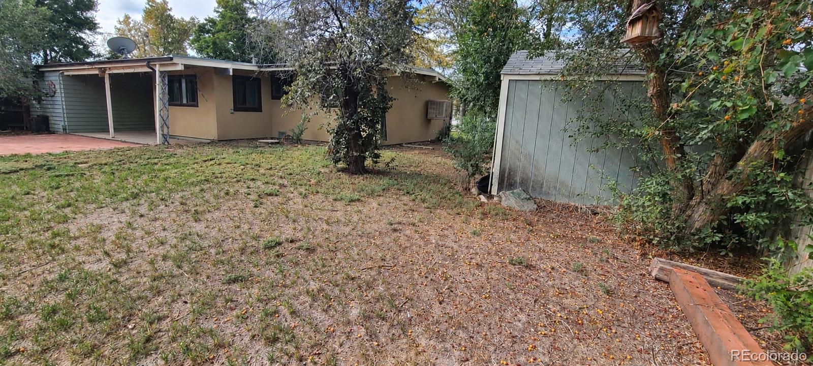 MLS Image #10 for 4420  gladiola street,golden, Colorado