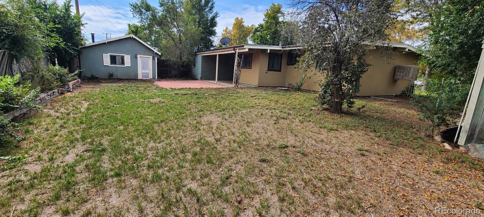 MLS Image #5 for 4420  gladiola street,golden, Colorado