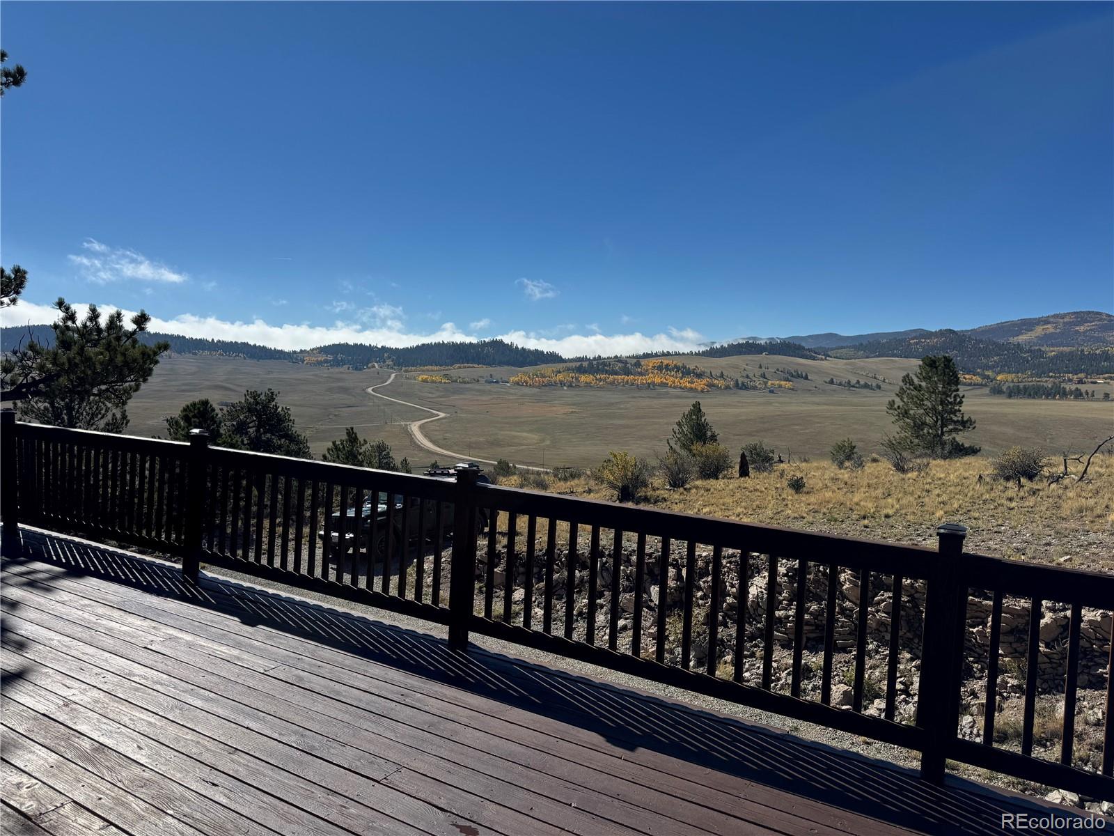 MLS Image #8 for 171  whip way,hartsel, Colorado