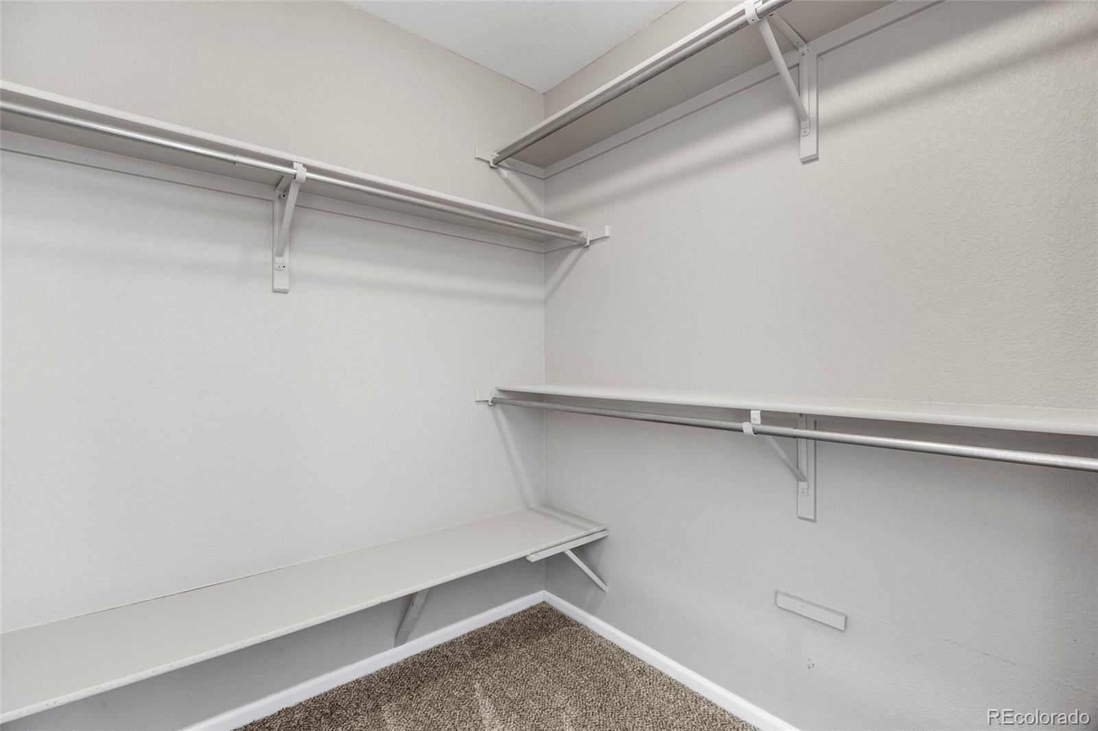 MLS Image #12 for 10840  crestone needles drive,parker, Colorado