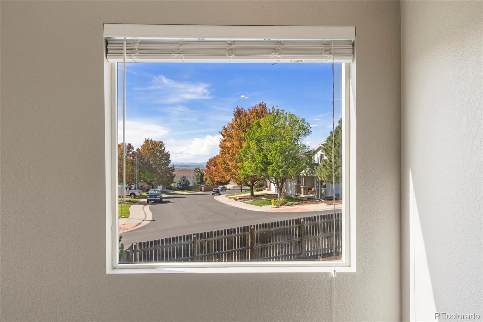 MLS Image #13 for 10840  crestone needles drive,parker, Colorado