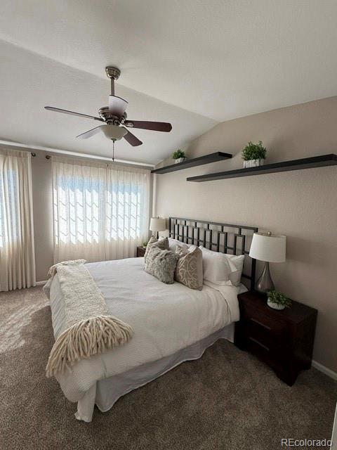 MLS Image #6 for 10840  crestone needles drive,parker, Colorado
