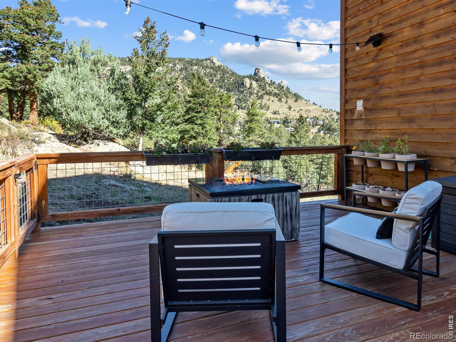 MLS Image #20 for 398  bristlecone court,estes park, Colorado