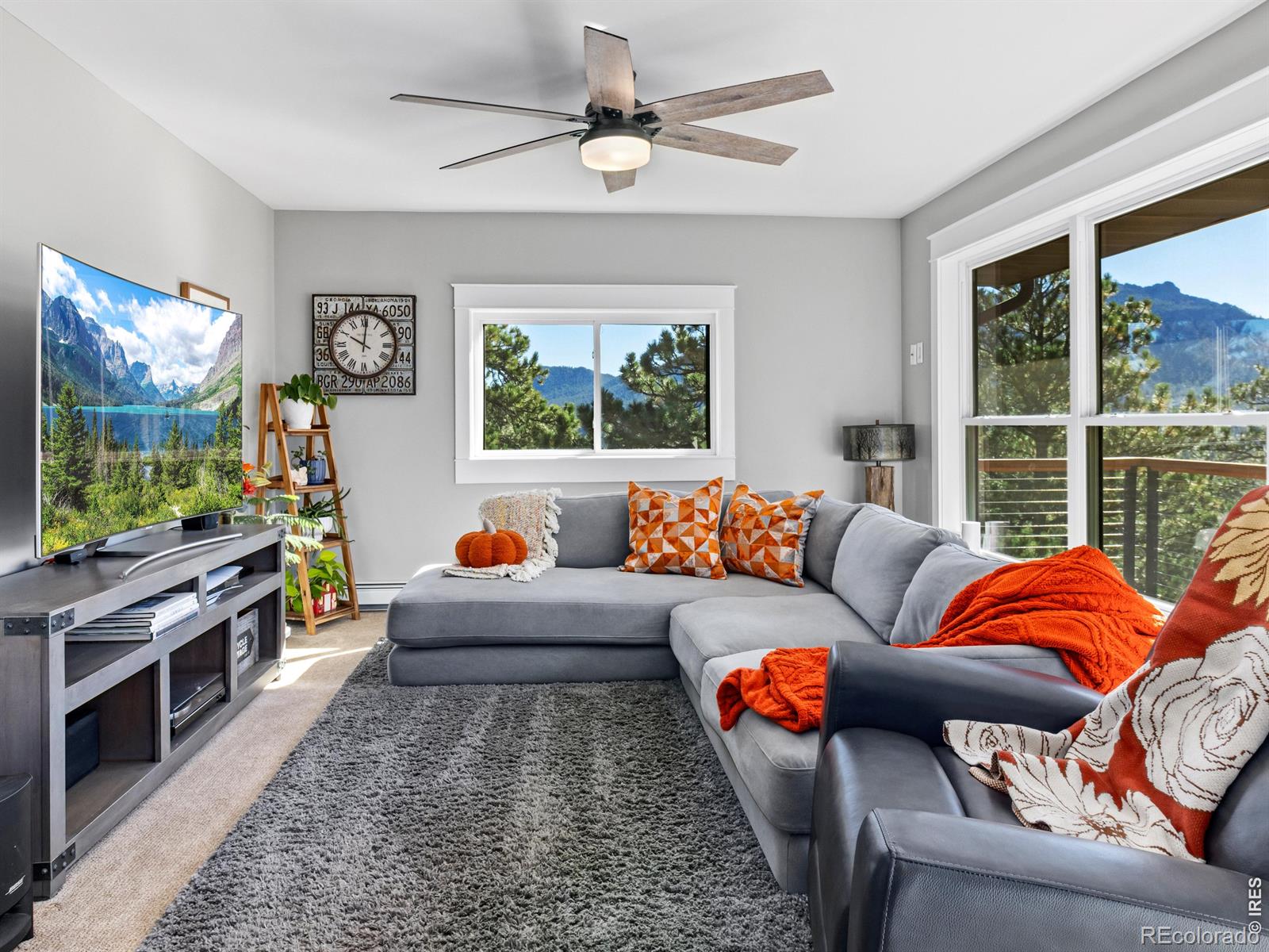 MLS Image #23 for 398  bristlecone court,estes park, Colorado