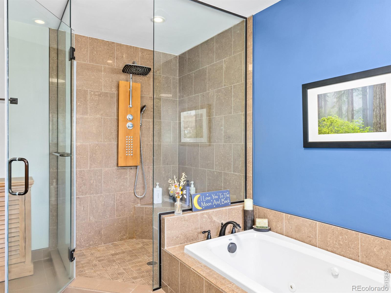 MLS Image #29 for 398  bristlecone court,estes park, Colorado